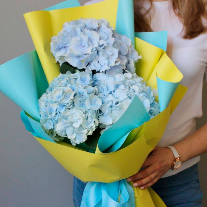 Остановись, мгновение