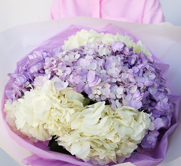 Звёздная пыль